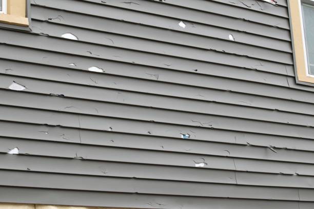 Best Engineered Wood Siding  in Jamestown, NC