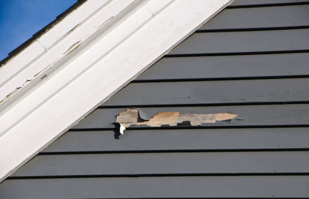 Best Custom Trim and Detailing for Siding  in Jamestown, NC